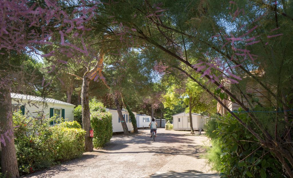 Camping Le Suroit Le Bois-Plage-en-Ré Εξωτερικό φωτογραφία